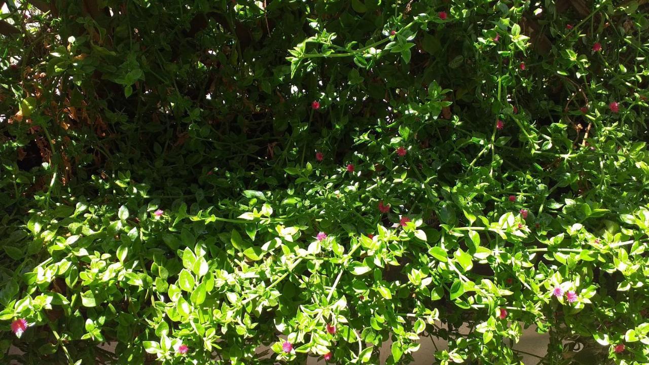 Attico Barocco Bed & Breakfast Lecce Bagian luar foto