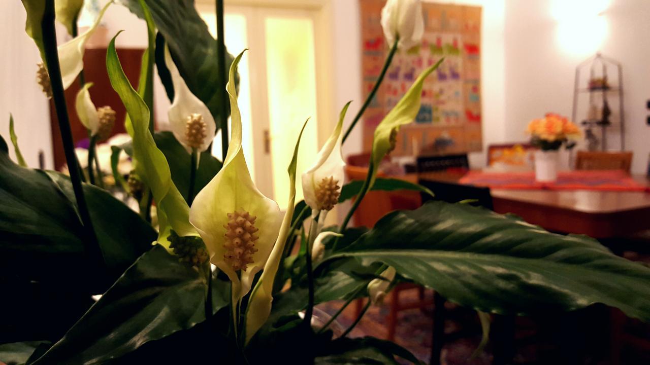Attico Barocco Bed & Breakfast Lecce Bagian luar foto